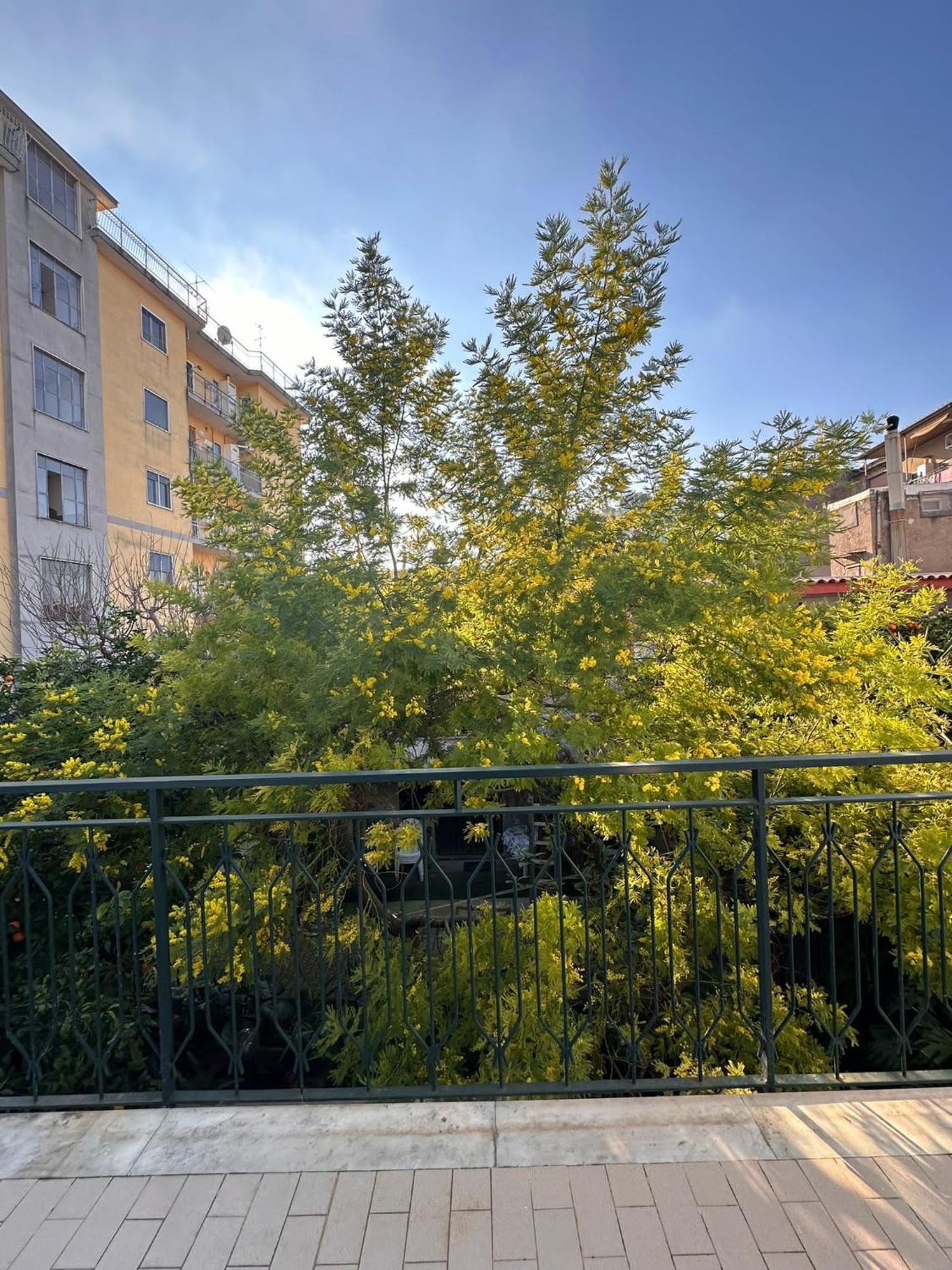 Hotel Il Campanile Scafati Exterior foto